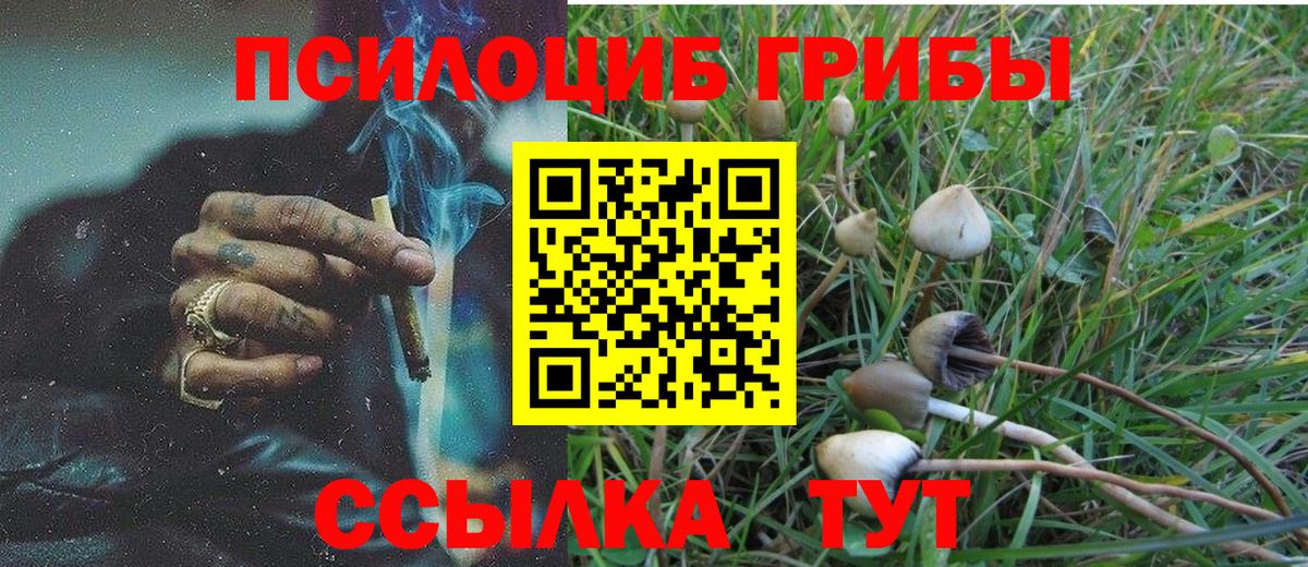 Галлюциногенные грибы Magic Shrooms  Вход с VPN  Кингисепп 
