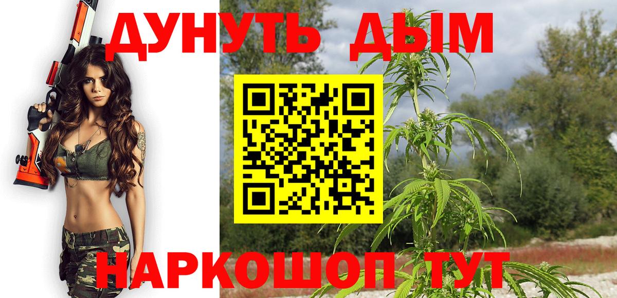 Каннабис THC 21%  Вход с VPN  Шишки марихуана план  Марихуана THC 21%  Шишки марихуана семена  Кингисепп 